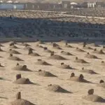 Mengunjungi Makam Baqi: Panduan dan Informasi