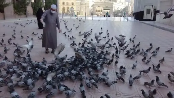 Hadis Seputar Umrah: Panduan Lengkap