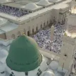 Merpati Simbol Kedamaian di Masjidil Nabawi