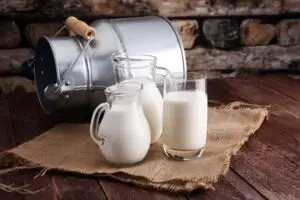 Tempat Terbaik Mencoba Susu Unta di Mekah
