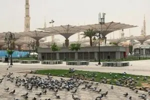 Makna Spiritual Memperingati Maulid Nabi