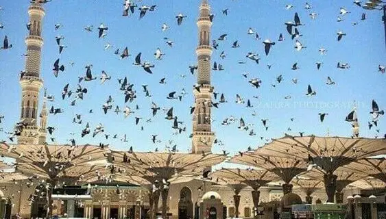 Destinasi Wisata Populer Dekat Masjid Nabawi