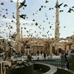 5 Wisata Sejarah di Sekitar Masjid Nabawi