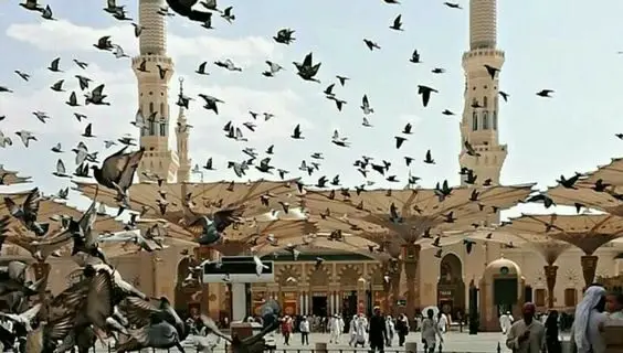 5 Wisata Sejarah di Sekitar Masjid Nabawi